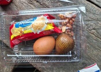 Menu MBG di Kobi Dinilai Tak Penuhi Standar Gizi