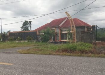 Mangkrak 7 Tahun, Sentra Industri Ikan 21 M  di Tehoru Jadi Kebun Warga