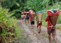 Hutan Dilindungi, Warga Terisolasi: Potret Sunyi Maraina, Manusela, dan Hatuolo