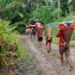 Hutan Dilindungi, Warga Terisolasi: Potret Sunyi Maraina, Manusela, dan Hatuolo