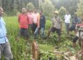 Dari Hutan ke Lumbung Pangan: Gerakan Sunyi Jodis Rumasoal Ubah Wajah Neniari di Pegunungan Seram