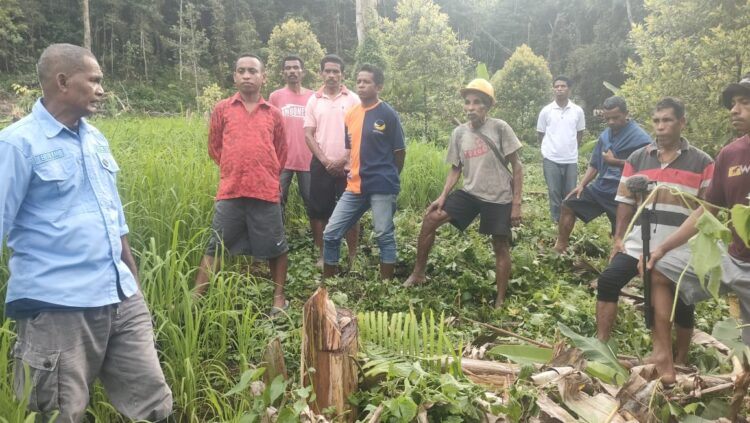 Dari Hutan ke Lumbung Pangan: Gerakan Sunyi Jodis Rumasoal Ubah Wajah Neniari di Pegunungan Seram