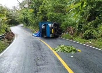 Diduga Kelebihan Muatan, Truk Batako Terguling di Tanjakan Ekstrem Elpaputih