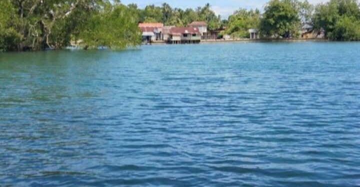 Buaya 4 Meter Muncul di Pesisir Amahai, Warga Resah, Pemerintah Negeri Keluarkan Imbauan